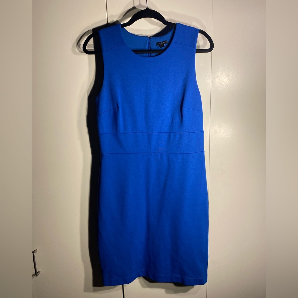 Ann Taylor Business Dress
